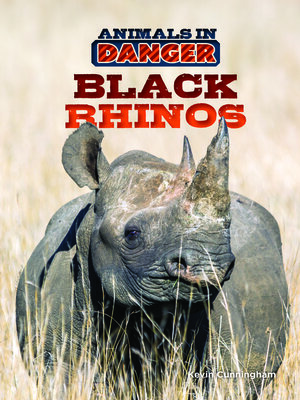 cover image of Black Rhinos